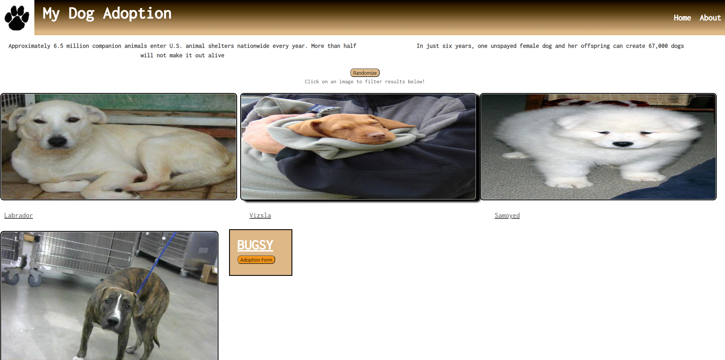 Picture of My Dog Adoption Website
